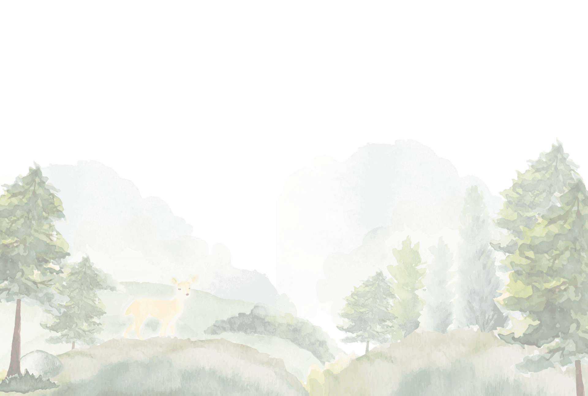 bg-company